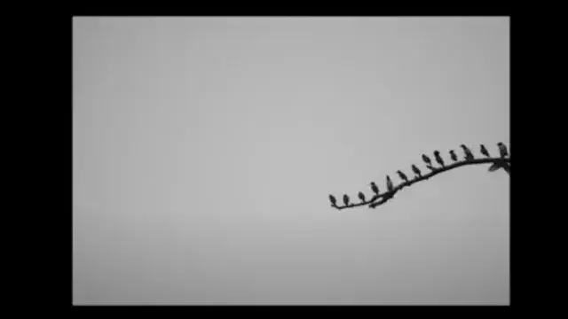 The Five Stages of Metta Bhavana | Short Film Nominee