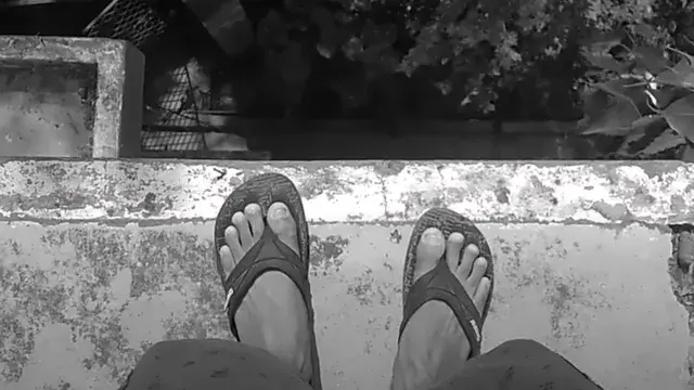 The Last Picture | Lockdown Film Challenge