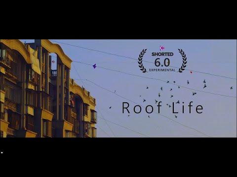 Roof Life | Short Film Nominee