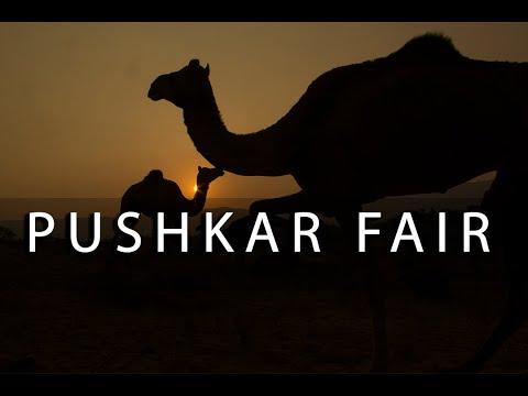Pushkar Fair | Short Film Nominee