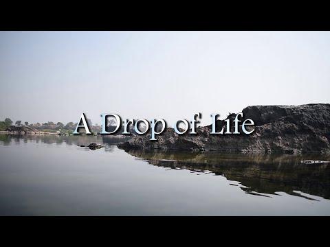 A Drop of Life | Short Film Nominee