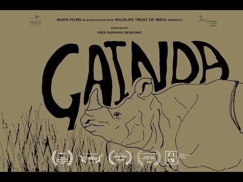 Gainda: A Conservation Story | Short Film of the Day