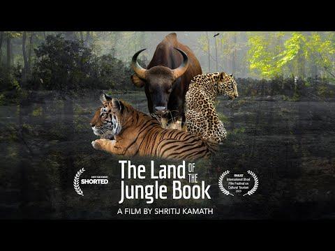 The Land of the Jungle Book | Short Film Nominee