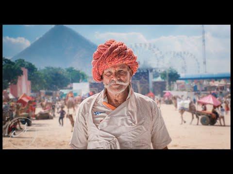 Albelo Jaipur | Short Film of the Day