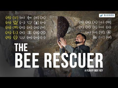 The Bee Rescuer|Short Film of the Day